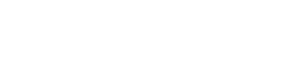 Near Earth Autonomy